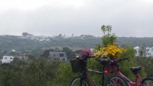 two bikes parked on a hill with flowers at DonQuihotel Chalet in Karvounádhes