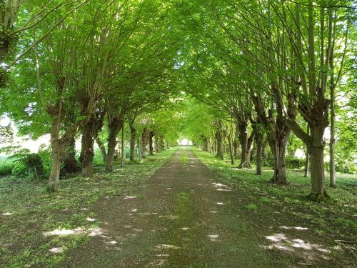Κήπος έξω από το Domaine du Manoir de Vains