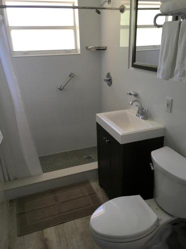 a bathroom with a toilet and a sink and a shower at Elizabeth House Inn in Deerfield Beach