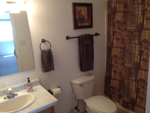 een badkamer met een toilet, een wastafel en een douche bij Bullberry inn Bed & Breakfast in Tropic