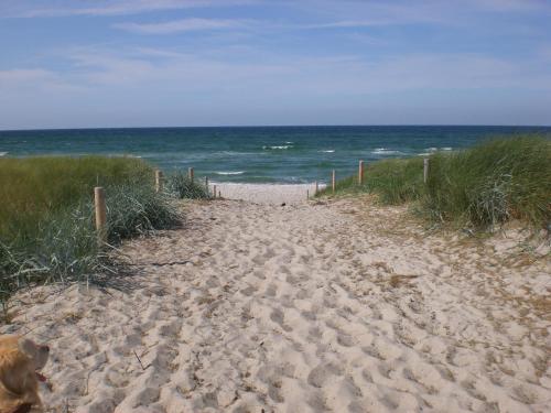 a sandy path leading to the ocean on a beach at Meer and Mehr in Zingst
