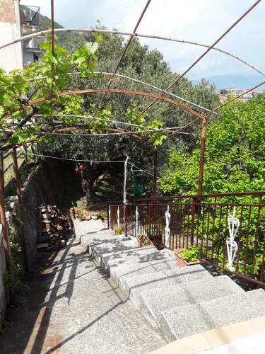 Gambar di galeri bagi La Collina su Palinuro di San Nicola