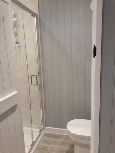 a bathroom with a shower and a toilet at Allibella Shepherds Hut, Amazing Seaview, Private garden, Pet Friendly in Barmouth