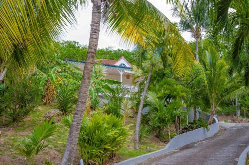 a house with palm trees in front of a road at Carre Royal in Deshaies