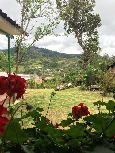a view of a field with red roses in a yard at Posada Turistica Nakku in Silvia