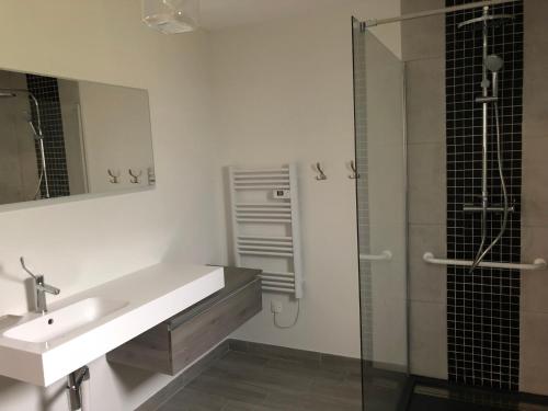 La salle de bains est pourvue d'un lavabo et d'une douche. dans l'établissement Le Clos de la Bertinière, à Bosgouet
