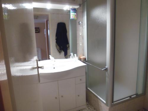 a bathroom with a sink and a shower at T2 Superbe vue port et mer in La Grande-Motte