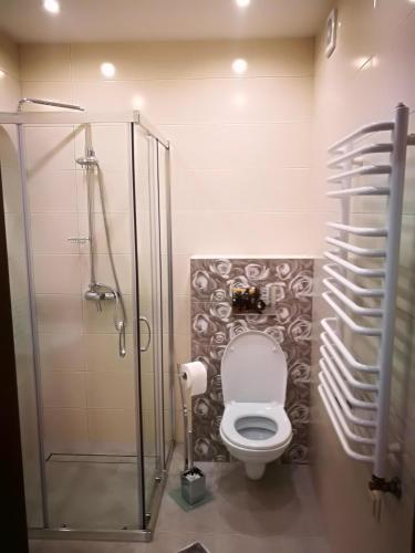Ένα μπάνιο στο Apartament u Joli
