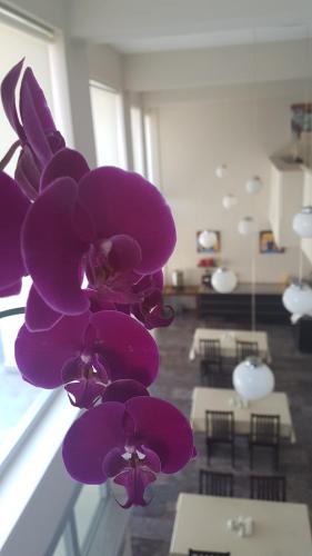 Χώρος καθιστικού στο İleri Hotel & Apartments