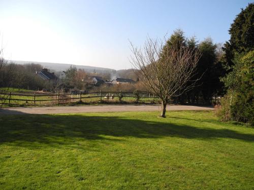 a tree in the middle of a grass field at Oakside Lodge Guest House in Canterbury