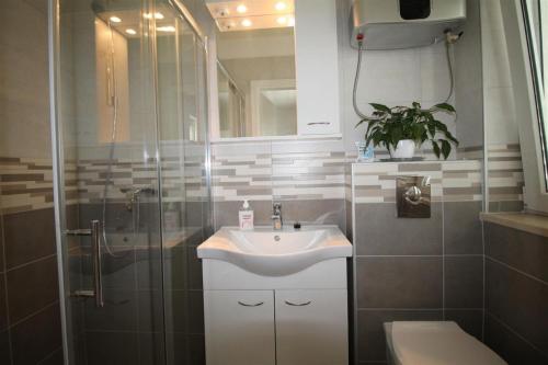 y baño con lavabo, ducha y aseo. en Private Accommodation Carevic, en Dubrovnik