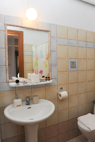a bathroom with a sink and a mirror and a toilet at Ξενώνας Κερκινίτης in Lithótopos