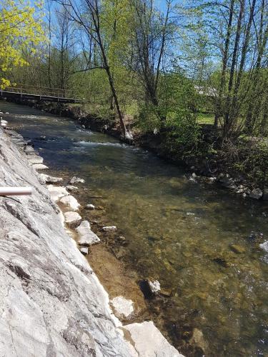 a stream of water with rocks and trees at Chata Terchová - Vyšné Kamence in Terchová