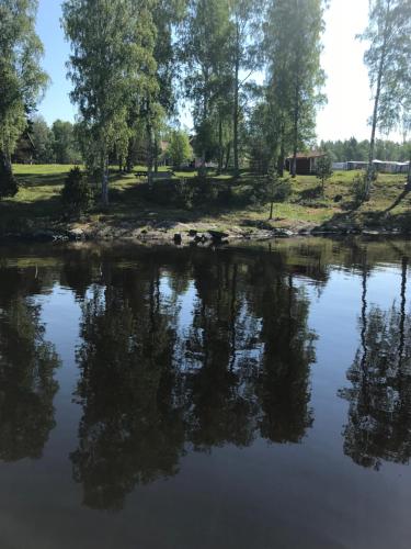 a view of a lake with trees in the background at Frykenbadens Camping & Resort in Kil