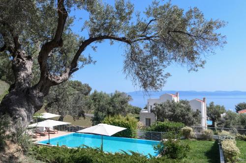 a view of a swimming pool with a tree at Kappa Resort in Paliouri