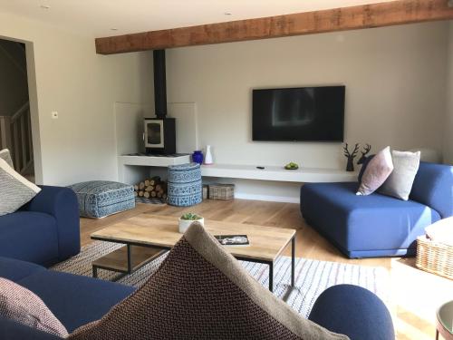 a living room with blue furniture and a flat screen tv at The Cottages at Crouchers Orchards in Chichester
