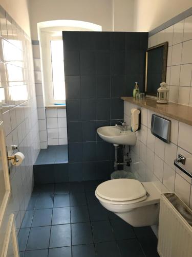 La salle de bains est pourvue de toilettes et d'un lavabo. dans l'établissement Pjacal, à Veli Lošinj