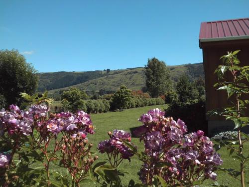a bunch of purple flowers in a yard at Longbourne Lodge Motel Mosgiel in Mosgiel