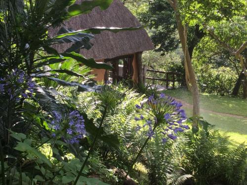 a garden with purple flowers and a small building at Phophonyane Falls Ecolodge in Piggs Peak