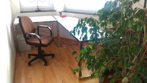 an office with a desk and a chair and a plant at FeWo - bei Tati 95qm in Singen
