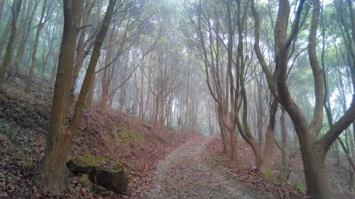 a dirt road in a forest with trees at The house behind stream in Dahu