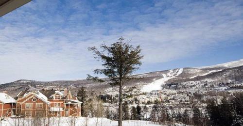 a house in the snow with a tree in the foreground at Tremblant Les Eaux by Rendez-Vous Mont-Tremblant in Mont-Tremblant