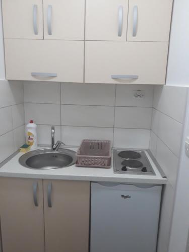Dapur atau dapur kecil di Radović Apartments
