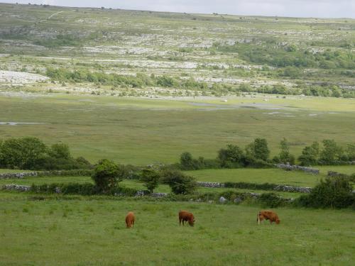 Gallery image of Clare's Rock Self-catering Accommodation in Carron