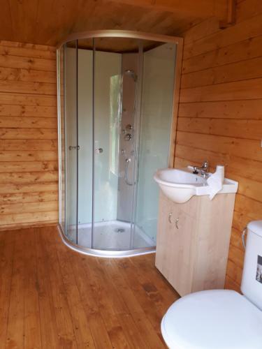A bathroom at Country house Balaton