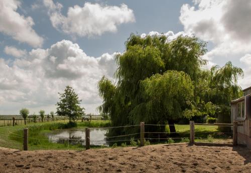 a large tree in a field with a fence at Minicamping Aan de Waterspiegel in Aagtekerke