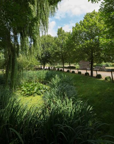 a garden with a pond with plants and trees at Minicamping Aan de Waterspiegel in Aagtekerke