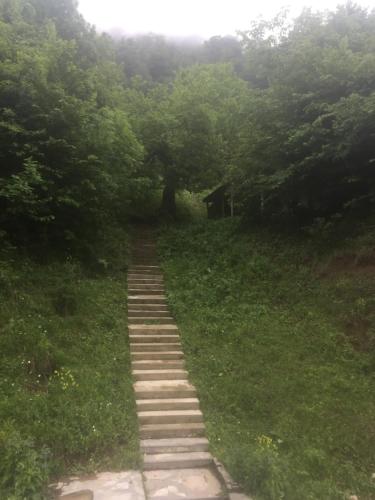 a path in the middle of a field with trees at Holiday home Golovino in Dilijan