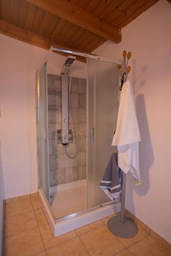 a shower with a glass door in a bathroom at Villa Kamelia-Renovated old house-South Crete in Galiá