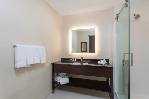 La salle de bains est pourvue d'un lavabo et d'une douche. dans l'établissement Wingate by Wyndham Altoona Downtown/Medical Center, à Altoona