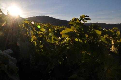 Chambre d'hôtes Les Plaisances – Photos 4