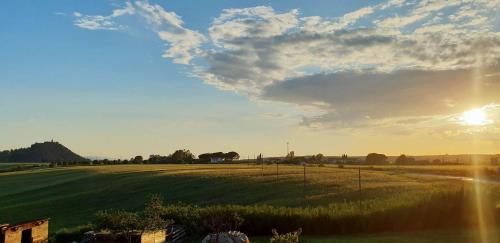 a field of grass with the sun in the sky at Agriturismo La Talpa in Marsiliana