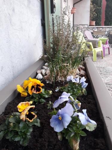 Ein Garten an der Unterkunft Appartamento La fontanella