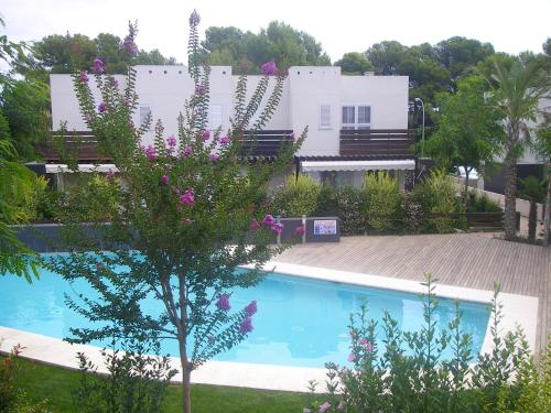 Πισίνα στο ή κοντά στο House Beach Las Palmeiras