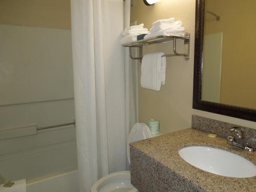 a bathroom with a sink and a toilet and a mirror at Super 8 by Wyndham Harrisonburg in Harrisonburg