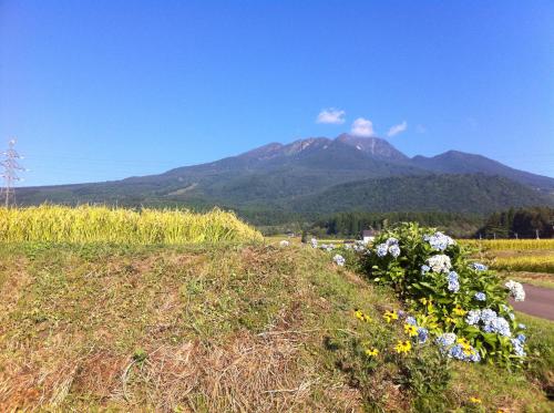 a mountain in the distance with a field of flowers at Highland Lodge Takegen in Myoko