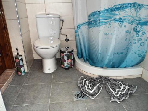 a bathroom with a toilet and a blue shower curtain at Aegean Balcony in Skala Kallirakhis