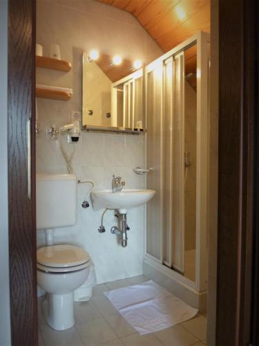 a bathroom with a toilet and a sink and a shower at Turistična kmetija Žerovc in Bled