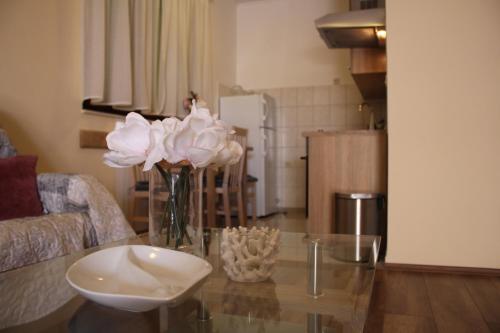 Studio apartman Ana