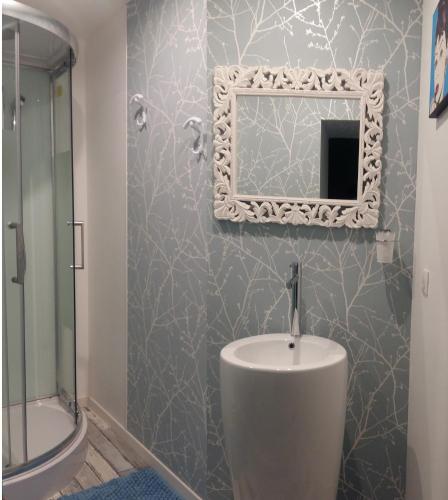 une salle de bain avec un lavabo et un miroir au mur dans l'établissement Pause Campagne - Chambres d'Hôtes, à Pouy-de-Touges