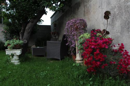 a garden with red and purple flowers in a yard at Zia Chiarina in San Nicolò Gerrei