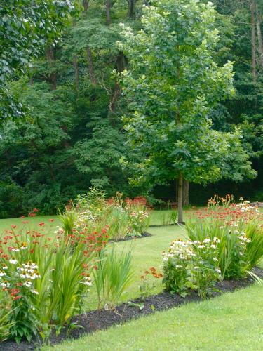 a garden with flowers and a tree in the background at Paddler's Lane Retreat in Confluence