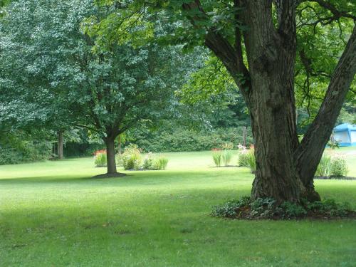 two trees in a field of green grass at Paddler's Lane Retreat in Confluence