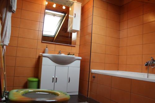 a bathroom with a toilet and a sink and a mirror at Apartment Ružica in Sukošan