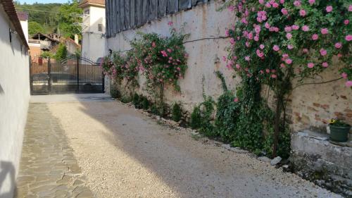 Φωτογραφία από το άλμπουμ του Casa Bergwald σε Rîşnov