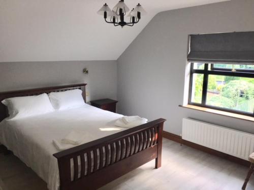 Un dormitorio con una cama grande y una ventana en Ivy House en Galway